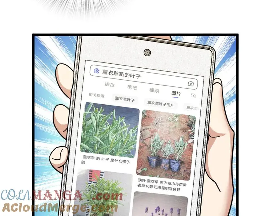 283 第133页