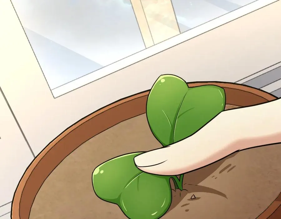 284 第3页