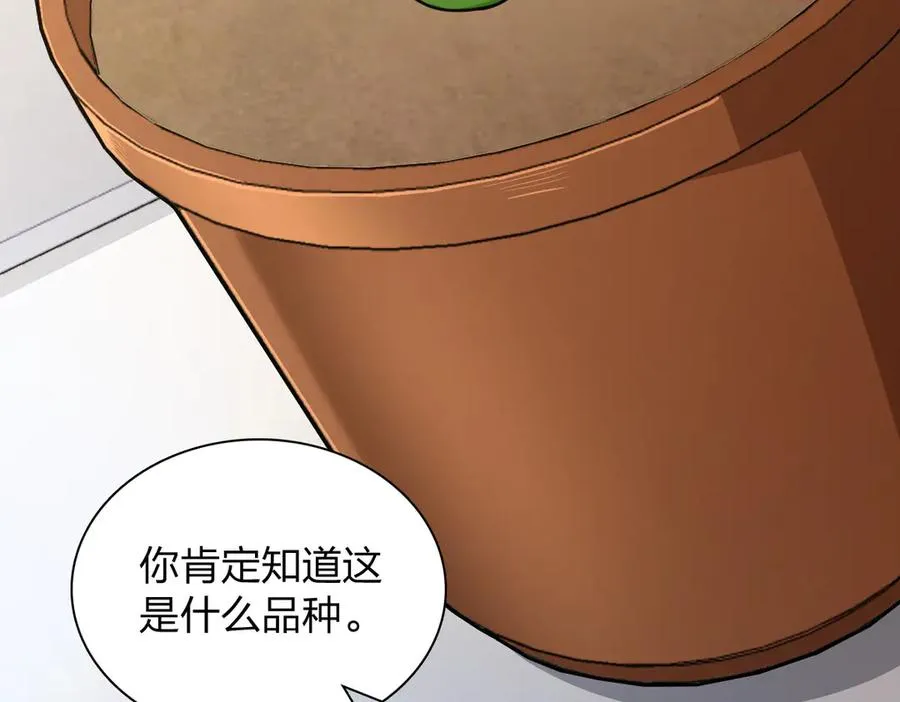 284 第4页