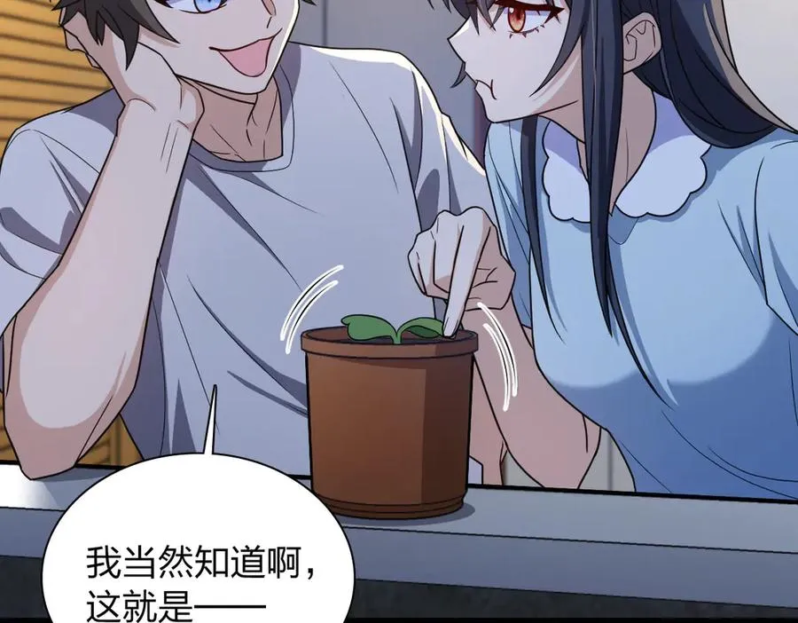 284 第7页