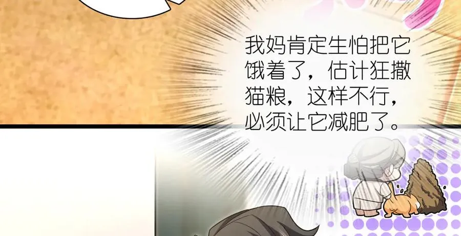 284 第78页