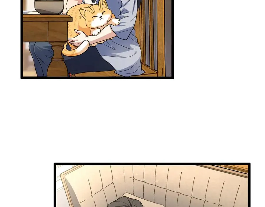 284 第115页