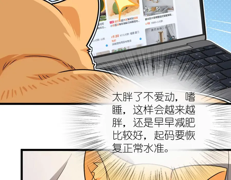284 第132页
