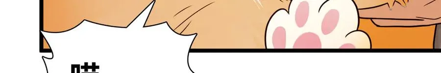 284 第134页