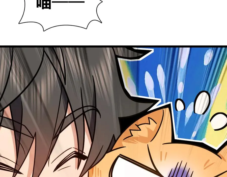284 第135页