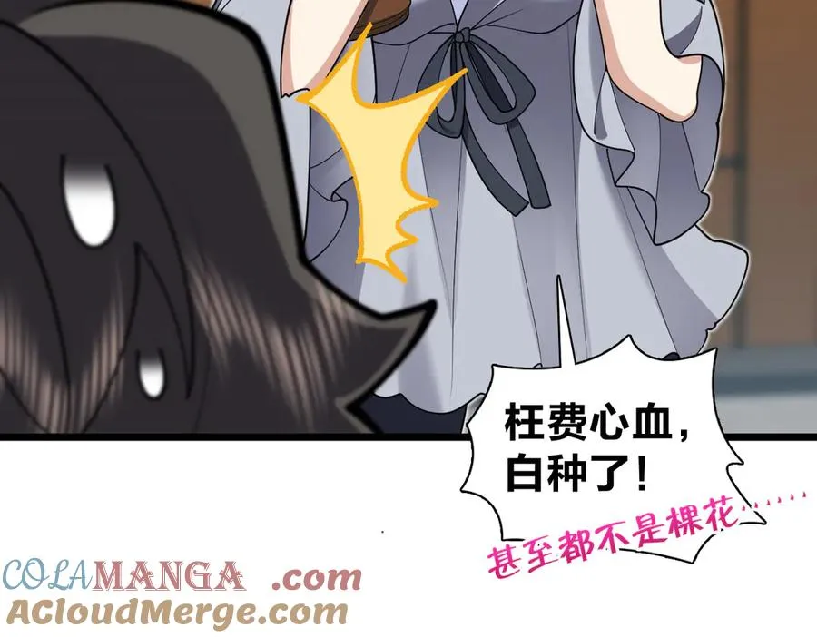 285 第45页