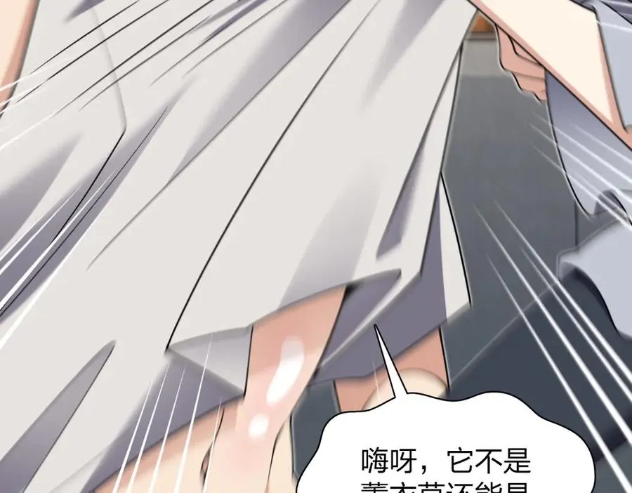 285 第51页