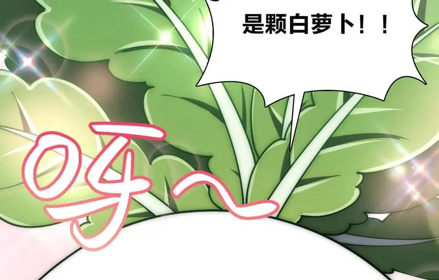 285 第54页