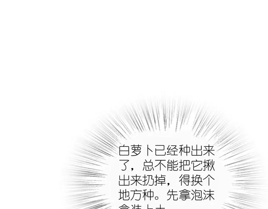 285 第62页