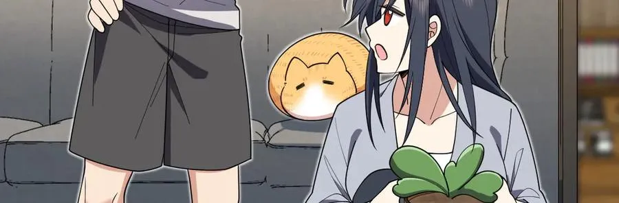 285 第66页