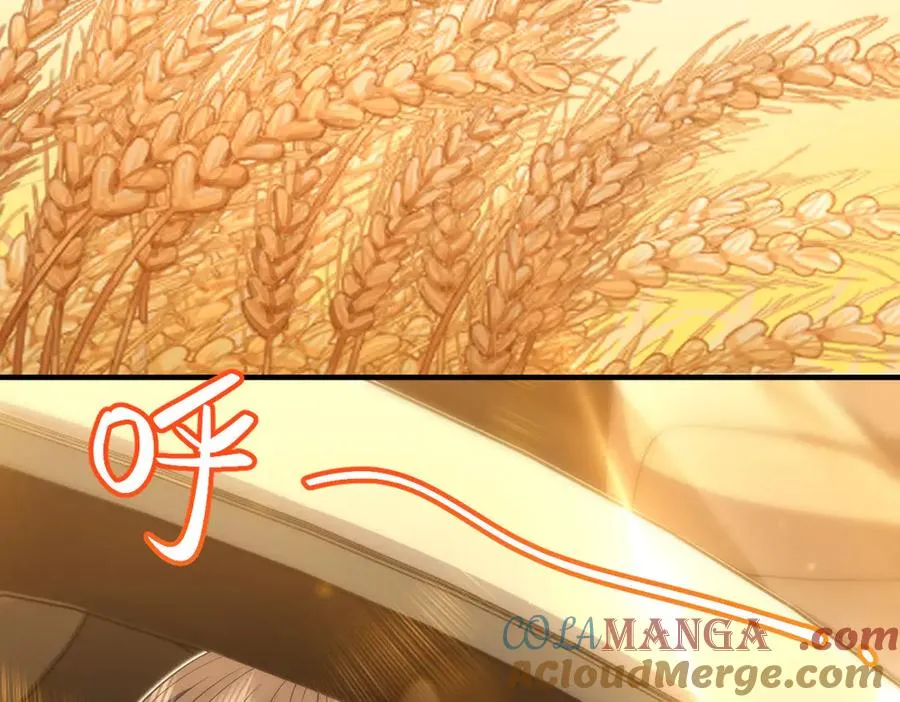 289 第97页