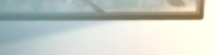 291 第7页