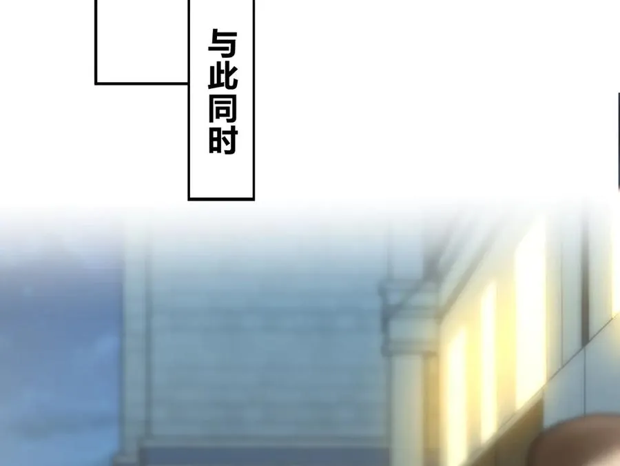 291 第135页