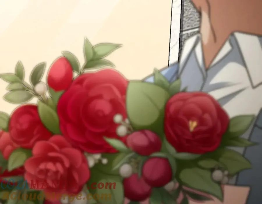 293 第97页