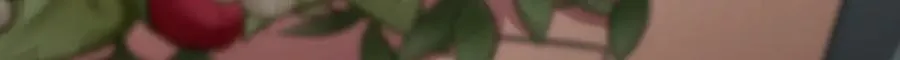 293 第98页
