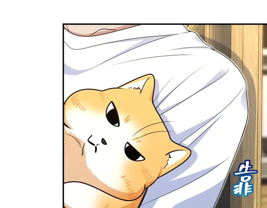 294 第34页