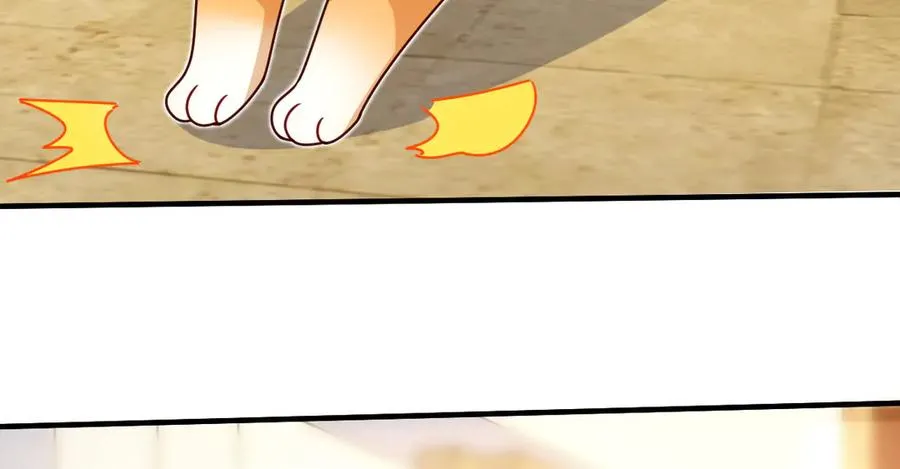 294 第59页