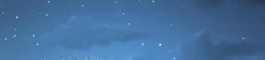 294 第124页