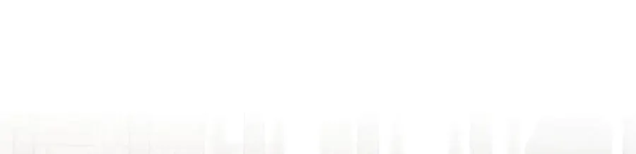 295 第83页