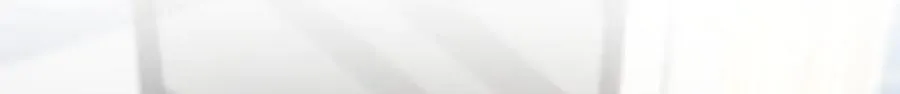 295 第119页