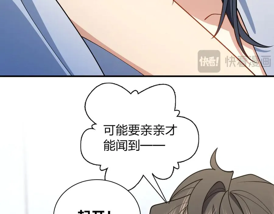 295 第147页