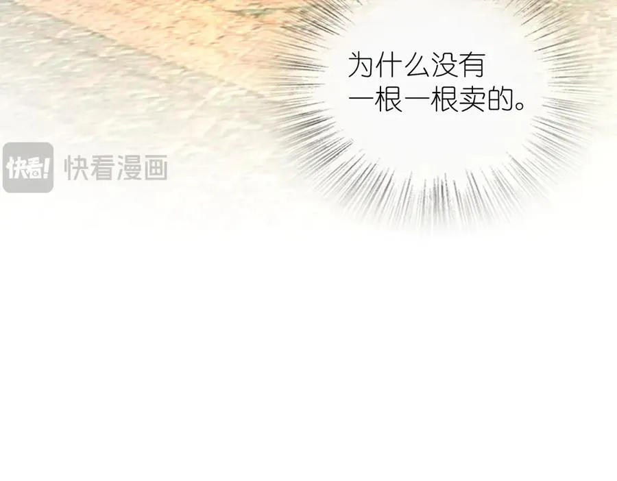 295 第162页