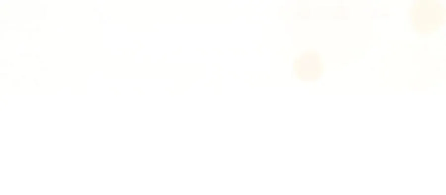 299 第70页