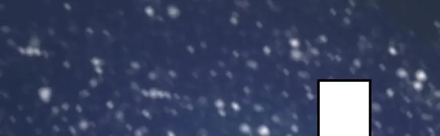 301 第95页