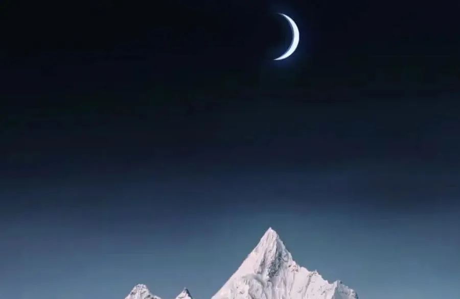 301 第136页