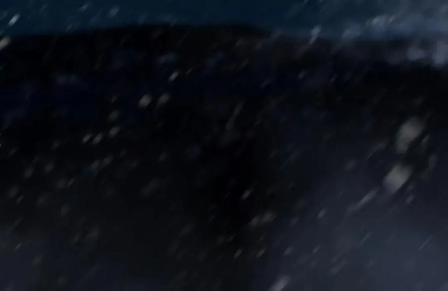 301 第138页
