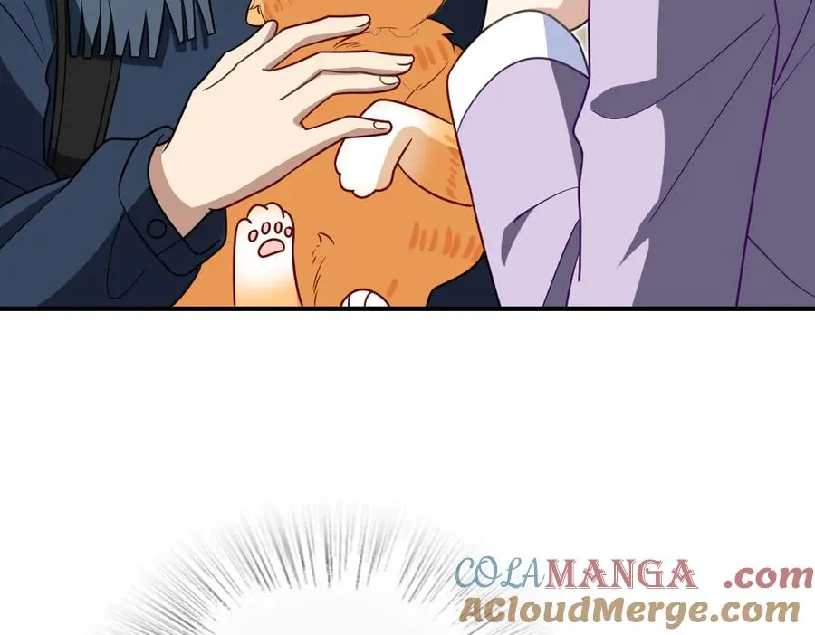 303 第113页