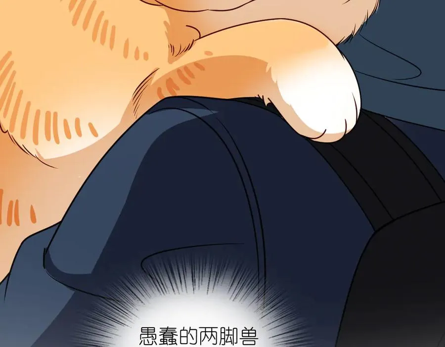 303 第162页