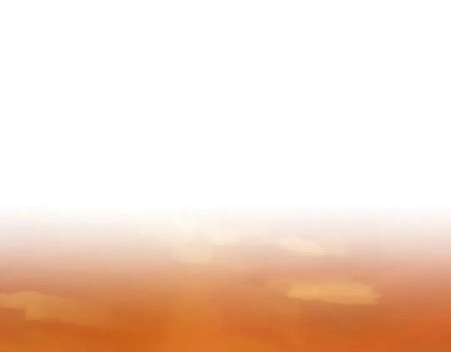 305 第36页
