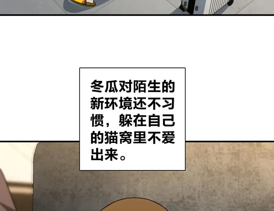 305 第58页
