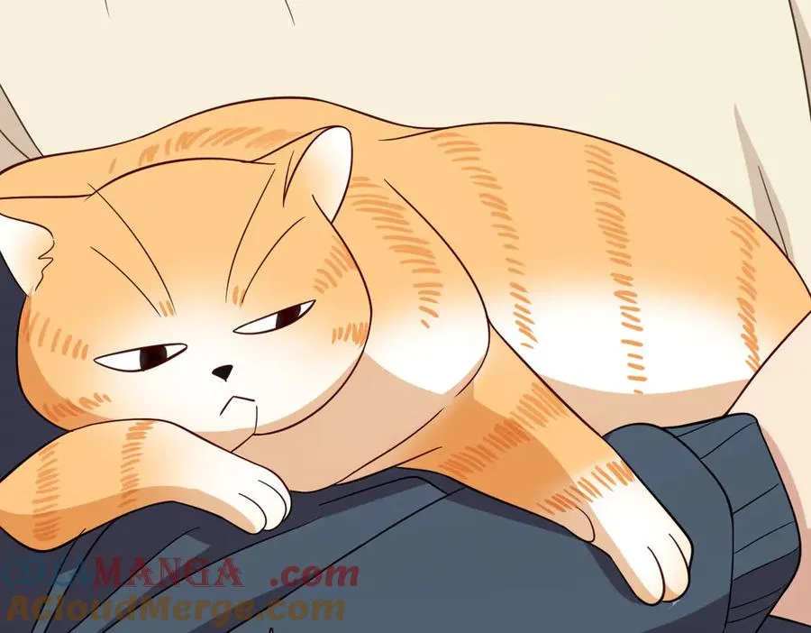 307 第13页