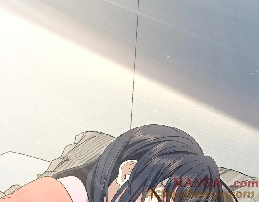 308 第145页