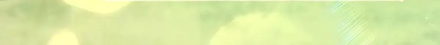 309 第8页