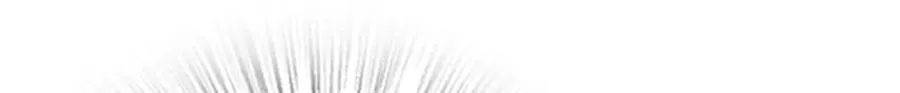 310 第43页