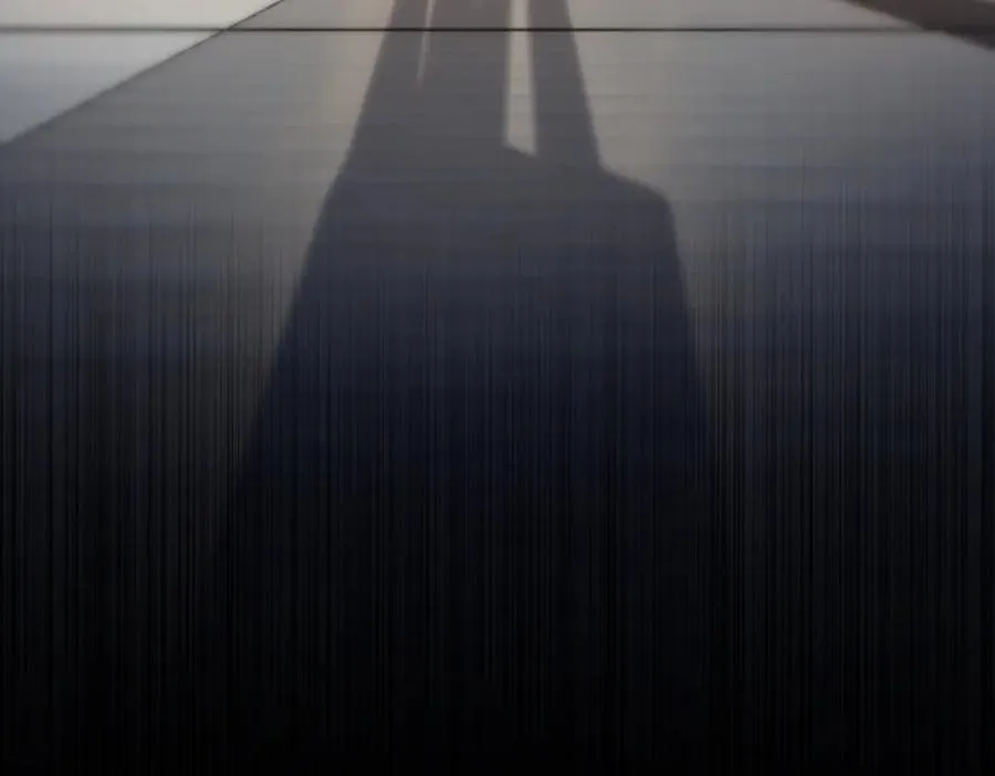 310 第64页