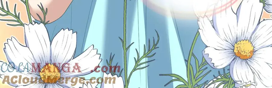 317 第65页