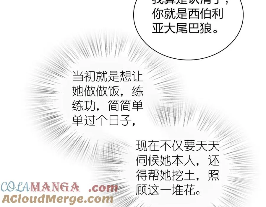 323 第81页