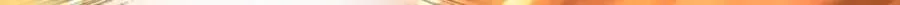 324 第17页