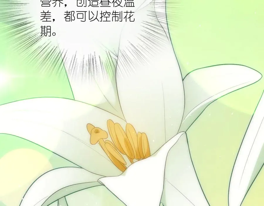 324 第74页