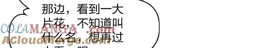 324 第137页