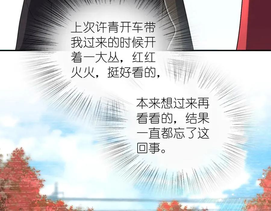 325 第48页