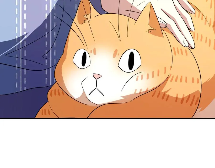 332 第138页