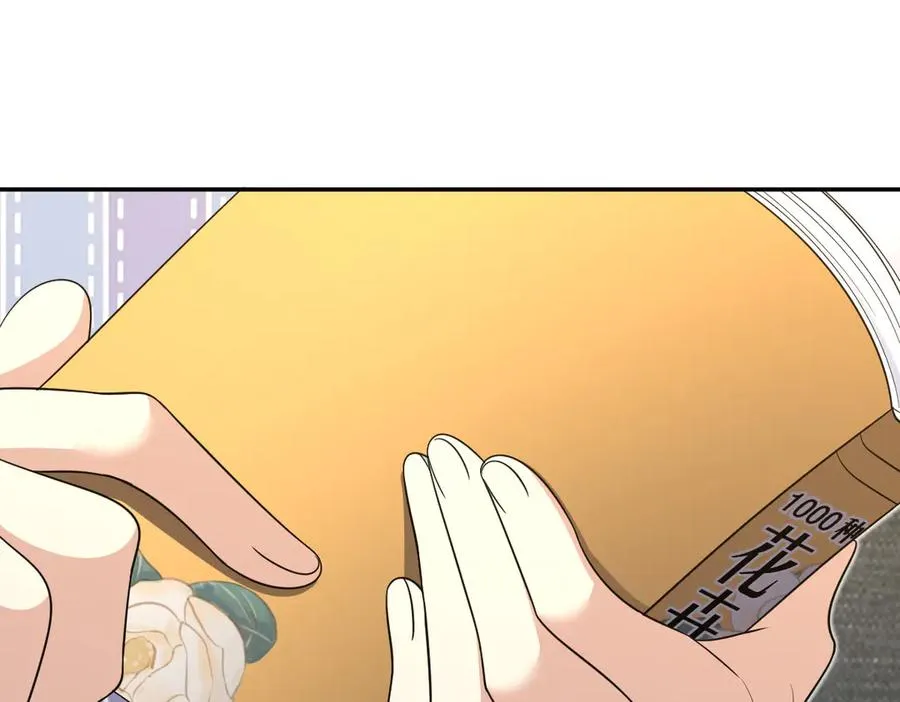333 第3页