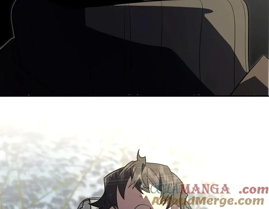 334 第113页