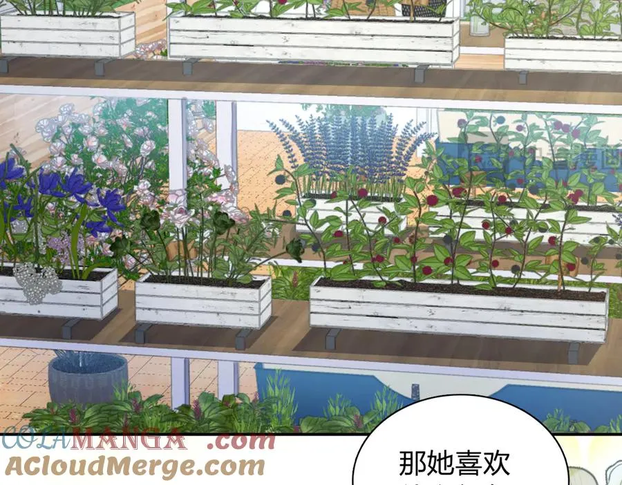 335 第57页