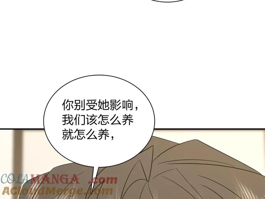 337 第85页